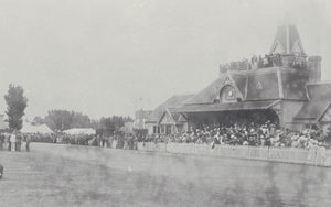 Establishment of harness racing